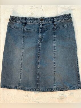 Denim A-Line Skirt Size 16 Cottage Core Backyard BBQ